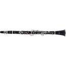Stagg WS CL210S