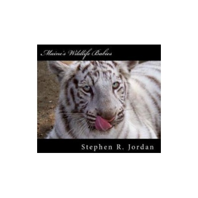 Maine's Wildlife Babies: D. E. W. Animal Kingdom Baby Residents | MR Stephen R Jordan