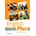 English Plus 4 SB