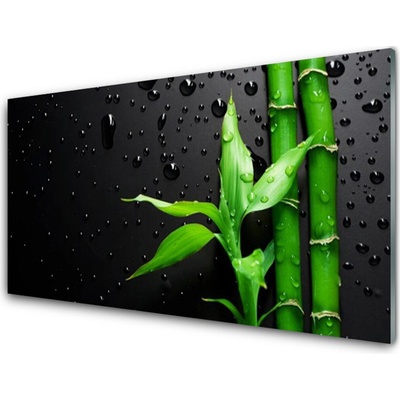 Obraz na skle Bambus Listy Rostlina 100x50 cm