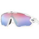 Oakley OO9290 21