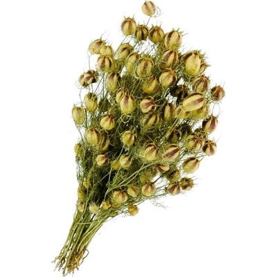 Sušená Nigella damascena 100 g