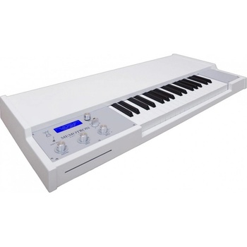 Manikin Electronic Memotron