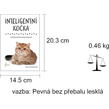 Inteligentní kočka