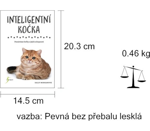 Inteligentní kočka