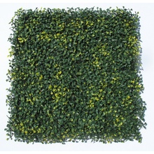 BUXUS VG PREMIUM, 4ks dílce 50x50cm, plocha 1m2