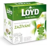 LOYD Пирамида за храносмилане на чай Loyd 40 г