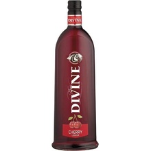 Divine Jelzin Cherry 16,6% 1 l (čistá fľaša)