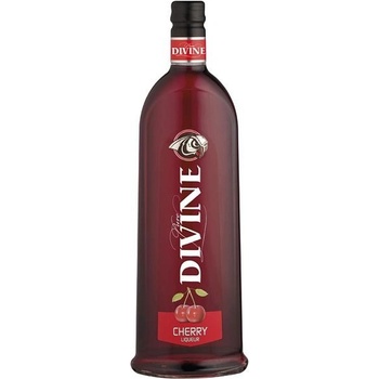 Divine Jelzin Cherry 16,6% 1 l (čistá fľaša)