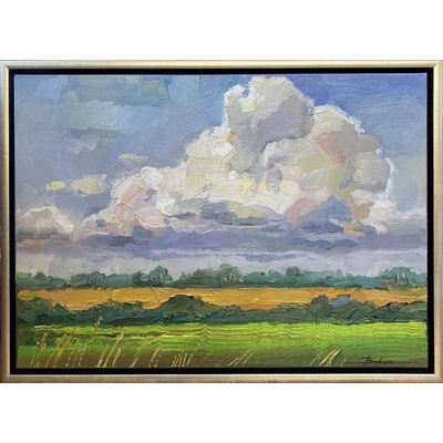 Mykola Bodnár, Žitný ostrov, II