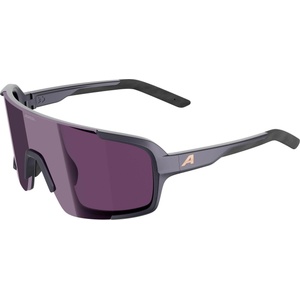 Alpina Lumin gun-metall matt/pink A8767321 Слънчеви очила