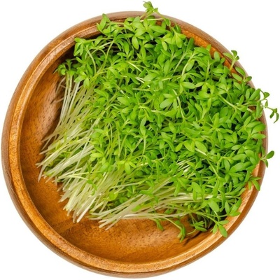 Sonnentor Řeřicha semínka na klíčení BIO 120 g
