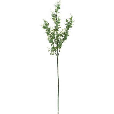 ZELEŇ EUCALYPTUS BABY BLUE ZELENÝ 67cm