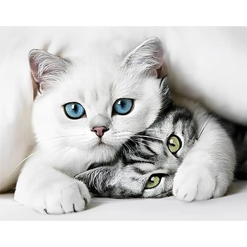 Norimpex - Puzzle Diamant painting: Cat secret 30x40cm - 1 - 39 piese