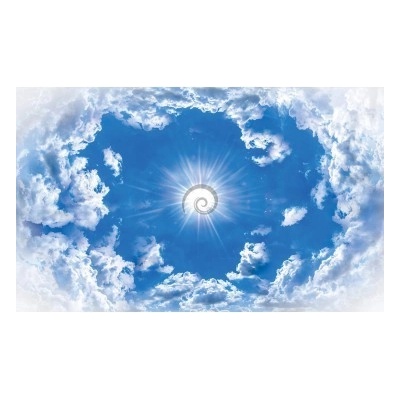 Preinterier Fototapeta - FT5595 - vlies - 400cm x 312cm