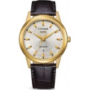 Citizen AW0102-13A