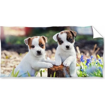 Carbotex Osuška Bráškovej Jack Russell Teriér 70 x 140 cm