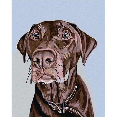 Zuty Malování podle čísel Hnědý pes s hnědým obojkem 80 x 100 cm vypnuté plátno na rám
