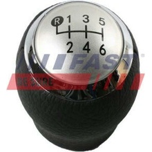 FAST FT09032
