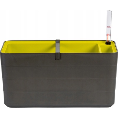 Plastia Truhlík Berberis sivá + zelená 40 cm