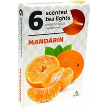 Admit Tea Lights Mandarin 6 ks