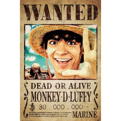 Plagát, Obraz - One Piece - Wanted Monkey D. Luffy