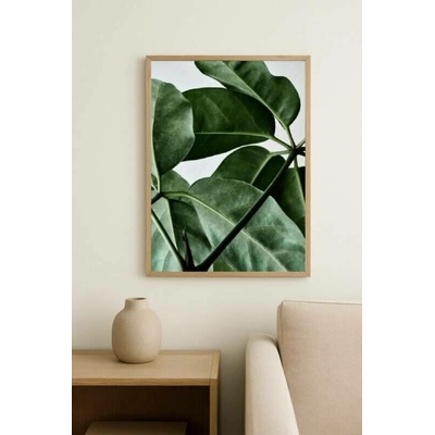 MADO – Plakát Green Home 04 (50 × 70 cm)