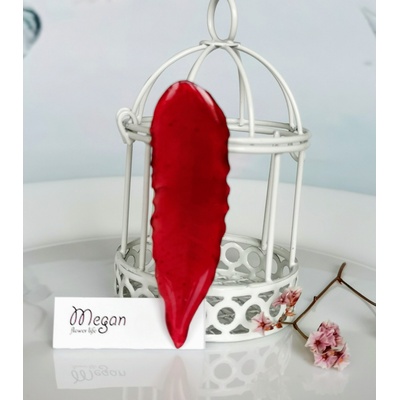 Meganflo Есенно листо