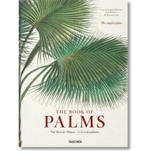 Martius. The Book of Palms | H. Walter Lack, Carl Friedrich Philipp von Martius (ISBN: 9783836566148)