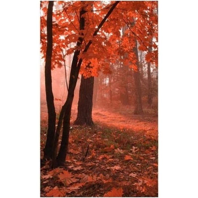 DIMEX ART Флизелинов фототапет гора в мъгла 150 x 250 см