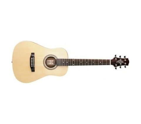 Ashton Mini 20