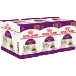 Royal Canin FHN Sensory Smell Gravy 36 x 85 г