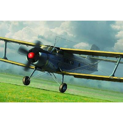 Hobby Boss Antonov An 2M Colt 81707 1:48