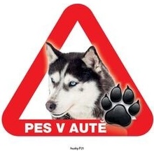 Grel nálepka na plech pozor pes v autě husky