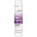 Erayba BioSmooth Изглаждащ шампоан с анти-фриз ефект BS12, 250 ml - ozone