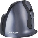 Evoluent VerticalMouse D LARGE VMDL