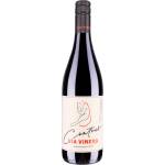 Contour Cabernet Sauvignon & Pinot Noir