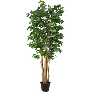 Bizzotto Дъб дърво в саксия H210 cm (0173191)