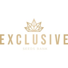 Exclusive Seeds Bank Double W semena neobsahují THC 5 ks