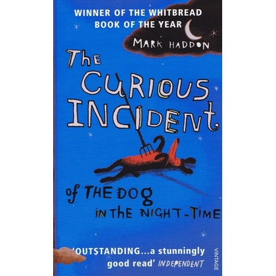 The Curious Incident of the Dog in the Night - time