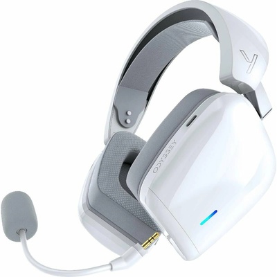 YENKEE YHP 31 ODYSSEY WL 35062566