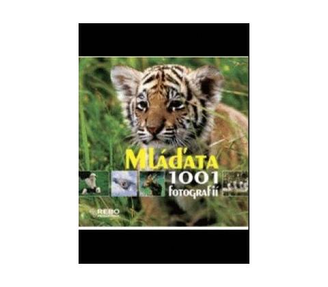 Mláďata