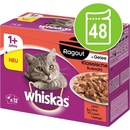 Whiskas 1+ Ragout drůbeží výběr jelly 48 x 85 g