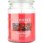 UTC Ароматна свещ SPICED BERRY 510g 85-95 ч (UT0290)