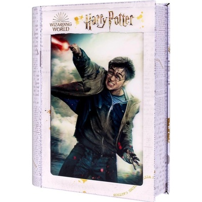 PRIME 3D Harry Potter: Harry 300 dílků