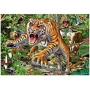 Schmidt Tiger attack 500 dielov