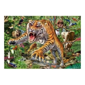Schmidt Tiger attack 500 dielov