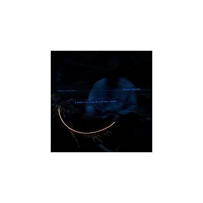 Havelka Václav - A Snake Crawling Up a Broken Ladder - CD