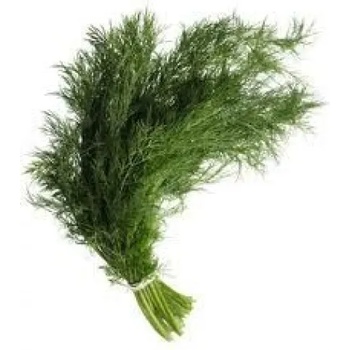 Image 1 of Копър пресен връзка - България