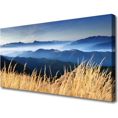 Obraz na plátně Pole Krajina 100x50 cm